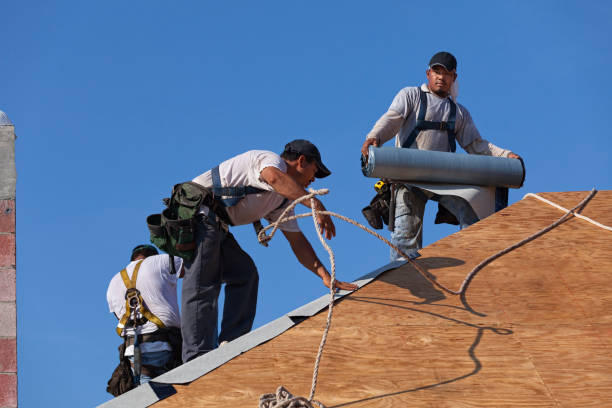 Best Local Roofing Companies  in Bonny Doon, CA