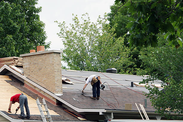 Best Roof Gutter Cleaning  in Bonny Doon, CA