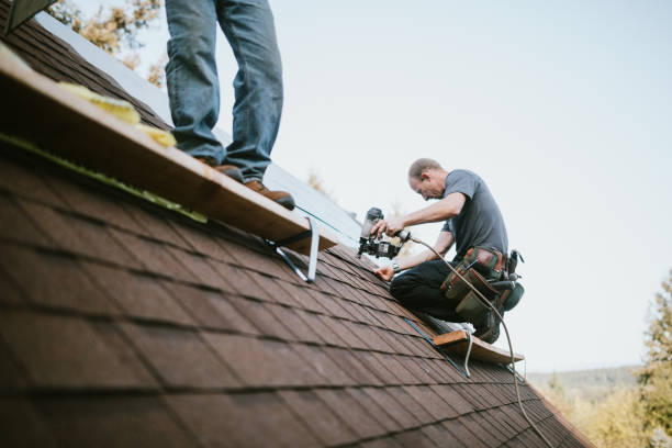 Quick and Trustworthy Emergency Roof Repair Services in Bonny Doon, CA